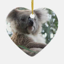 Koala Bear Facts Ornament