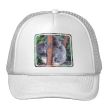 Koala Bear Family Baseball Hat