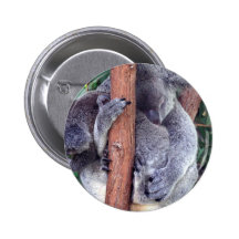 Koala Bear Family Button