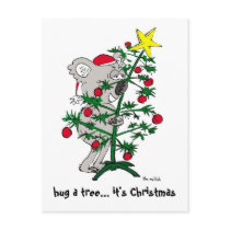 Koala bear hugging a Christmas tree postcards