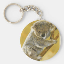 Koala Bear Key Chain