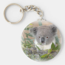 Koala Bear Keychain