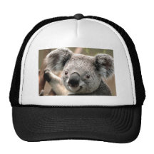 Koala Cap Mesh Hat