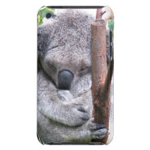Koala Cuddle iTouch Case iPod Case-Mate Cases