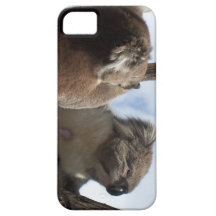 Koala Duo iPhone 5 Covers