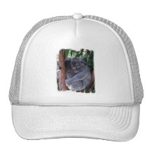 Koala Family Baseball Hat
