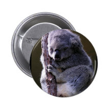 Koala in Tree Button