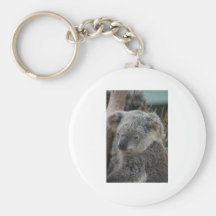 Koala Key Chain