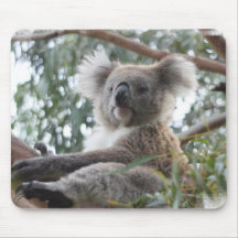 Koala Mouse Pad