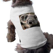 Koala Pet Tee