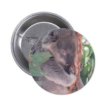 Koala Photo Button