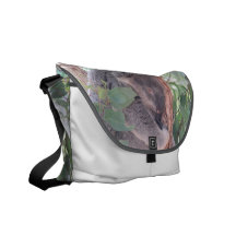 Koala Photo Messenger Bag