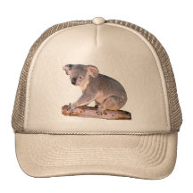Koala Picture Trucker Hat