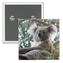 Koala Pin