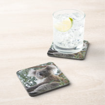 Koala Set of Cork Coasters