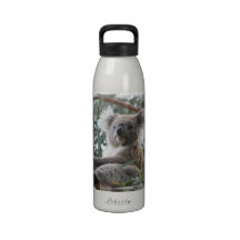 Koala Water Bottle
