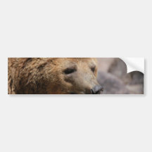 Kodiak Bear Bumper Stickers