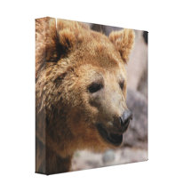 Kodiak Bear Canvas Print