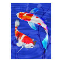 Kohaku Duo in Deep Blue Pond Personalised Announcement