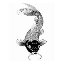 koi carp post cards