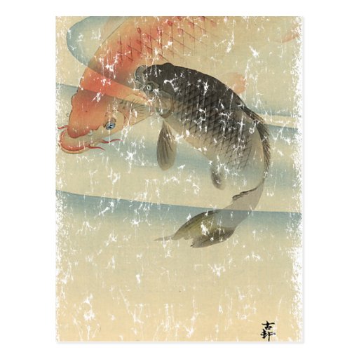 Koi Post Cards