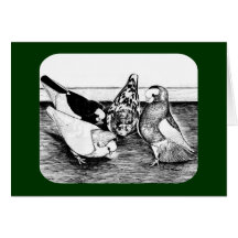 Komorner Tumbler Quartet Cards