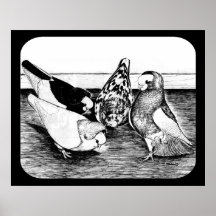 Komorner Tumbler Quartet Posters