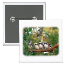 Kookaburra 9Y172D-004 Pins
