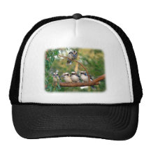 Kookaburra 9Y172D-004 Trucker Hats