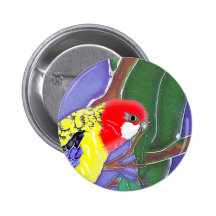 Kookaburra, Cockatoo & Parrot T-Shirts and Gifts! Pins