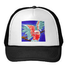 Kookaburra, Cockatoo & Parrot T-Shirts and Gifts! Mesh Hat