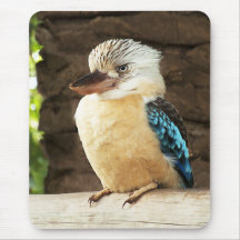 Kookaburra Mousemats