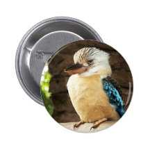 Kookaburra Pinback Button