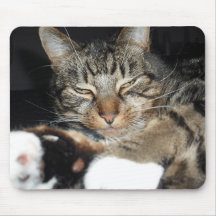 koolkat mouse pads