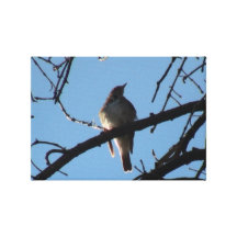 Kooskooskia Idaho Fauna Animals Birds Aves Winged Canvas Prints