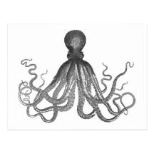 Kraken - Black Giant Octopus / Cthulu Post Cards