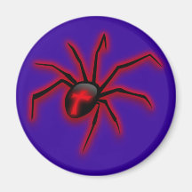 Kreuzspinne garden spider magnete