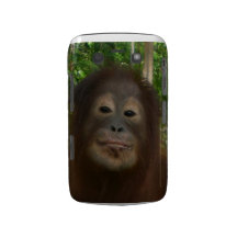 Krista Orangutan mugshot Blackberry Bold Case