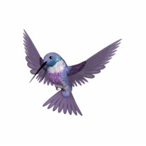 KRW Colourful Hummingbird Pin photo sculptures