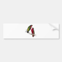 Kuhl’s Parrakeet by Edward Lear Bumper Stickers