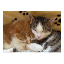 Kuschelkatzen Visitenkartenvorlage
