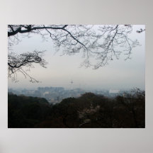 Kyoto Horizon Poster