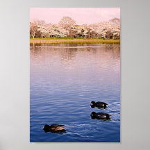 Kyoto poster in Spring
