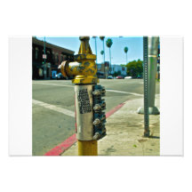 LA Street Art Art Photo