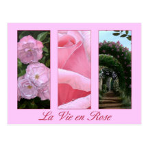 La Vie en Rose postcard