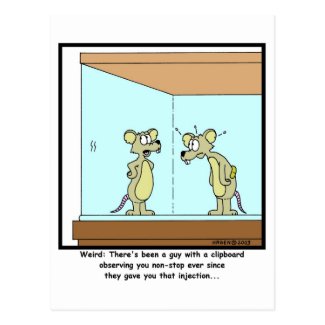Lab Rat Postcard