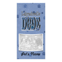 LabraDoodle DUDE Photo Greeting Card