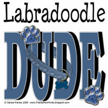 LabraDoodle DUDE Photo Sculptures