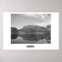 Labrador Print