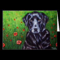 Labrador Retriever Dog Art - Poppy cards